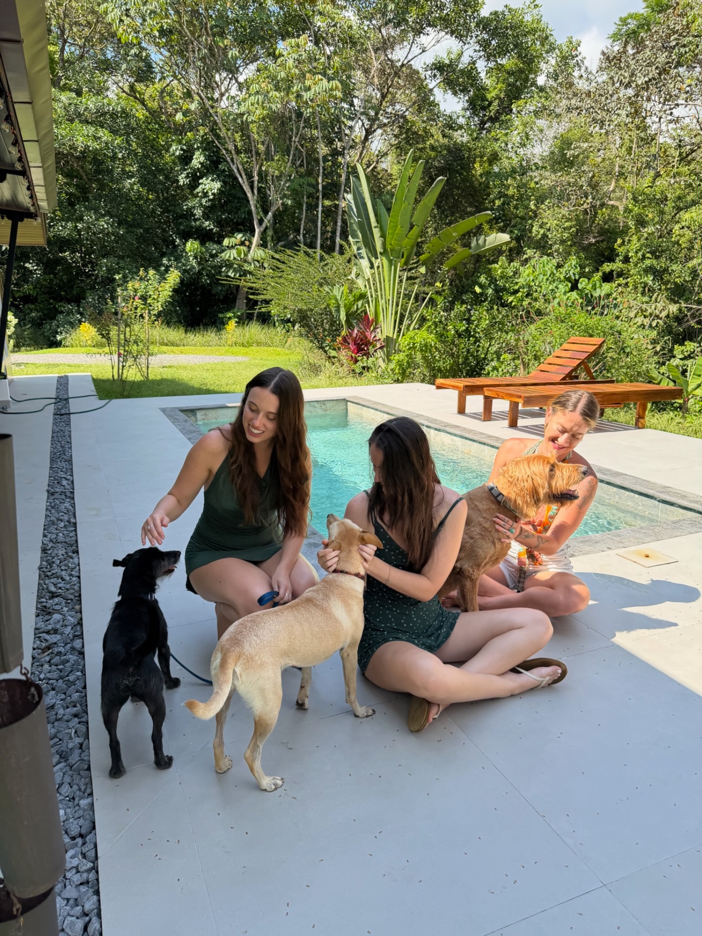 The team with pets at a villa
